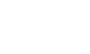 FL_Autism-300x179.png