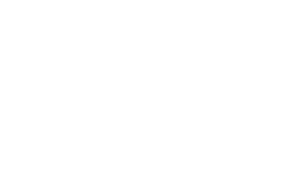 S_0011_RainBird-300x179.png