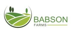 babson farms.png