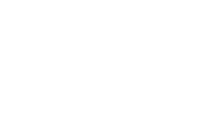 Talisys-300x179.png