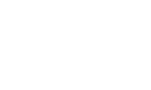 Auto-Shield-300x179.png
