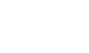 Revolutionary-300x179.png