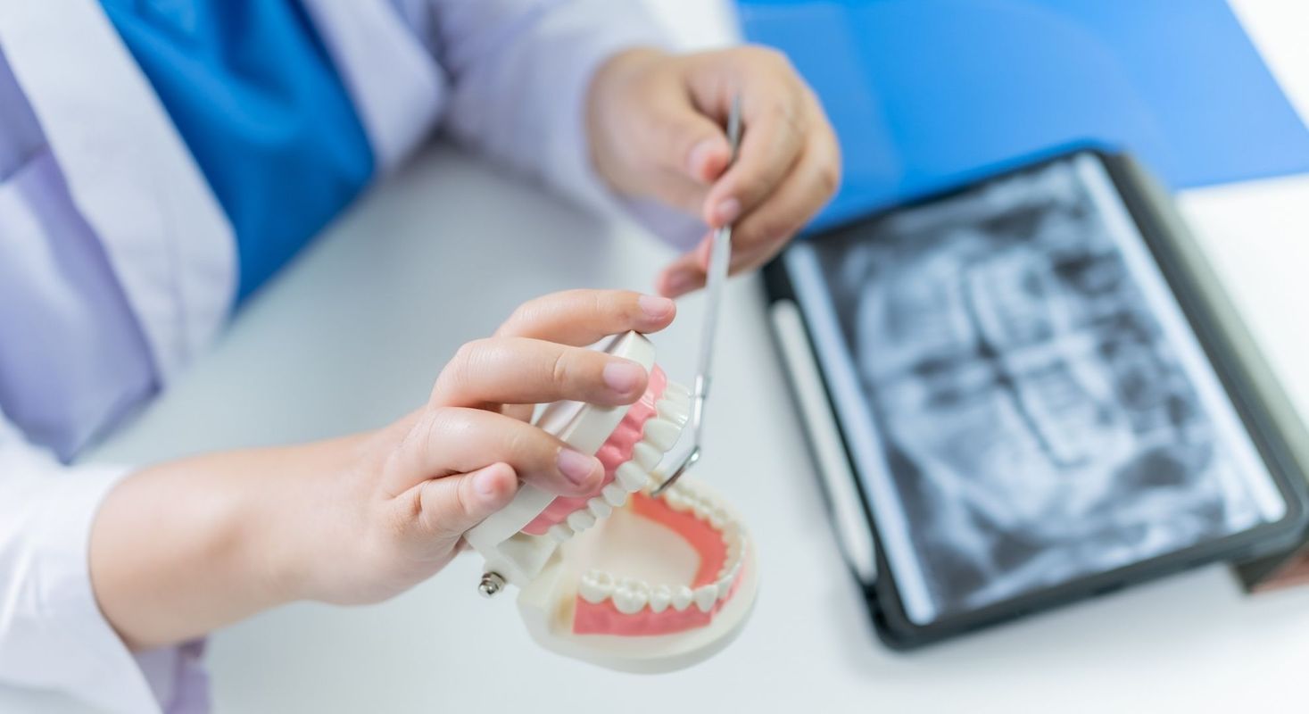 dentist holding model of teeth 