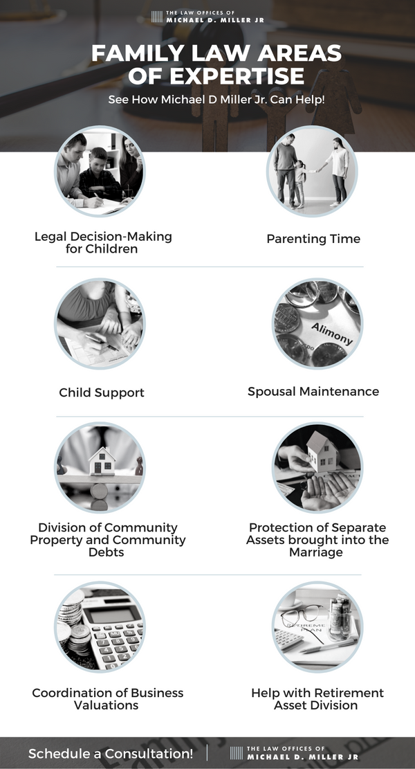 M28770 Infographic - Family Law Areas of Expertise.png
