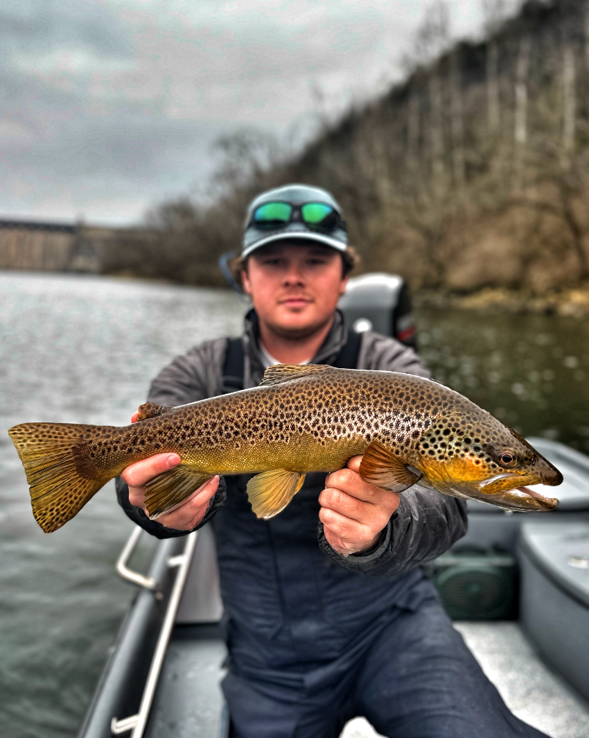 Screenshot 2025-03-25 at 10.21.47%E2%80%AFAM.png