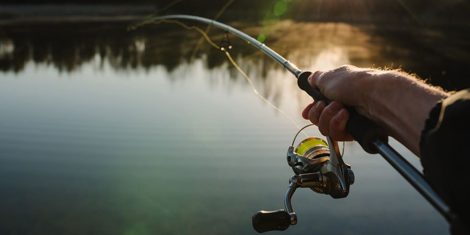 AdobeStock_351998405.jpeg