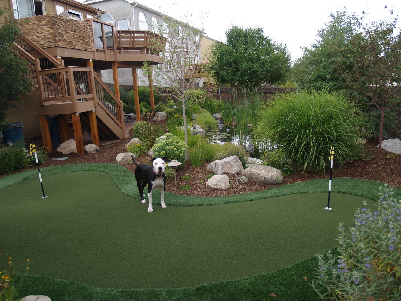 Bear Claw job pics 552.jpg