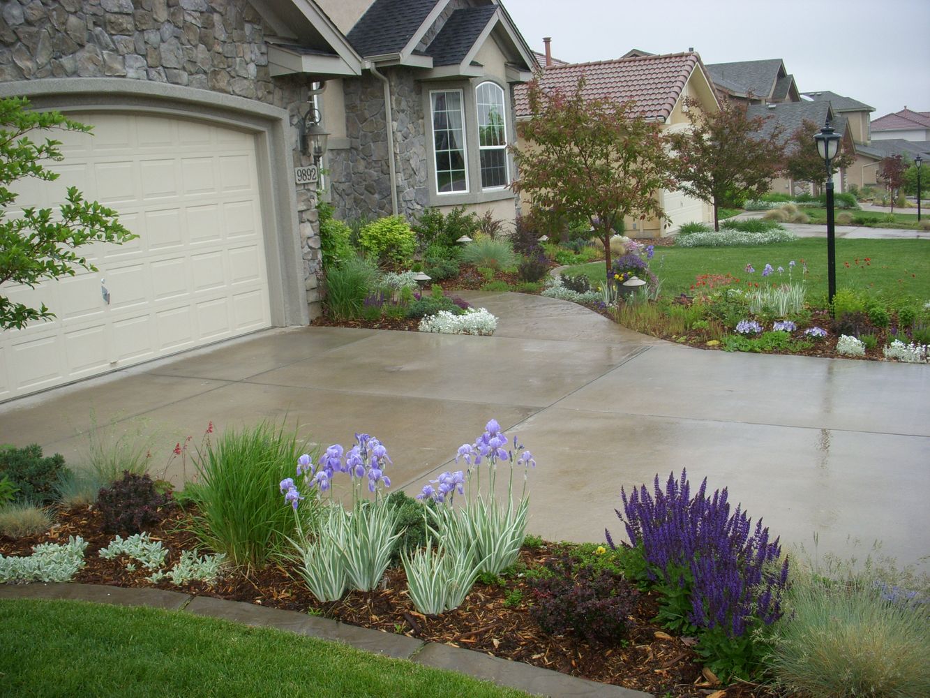 Bear Claw job pics 708.jpg