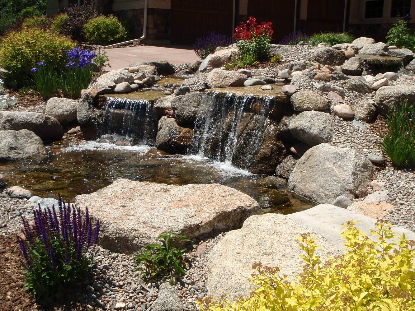 Bear Claw job pics 189.jpg