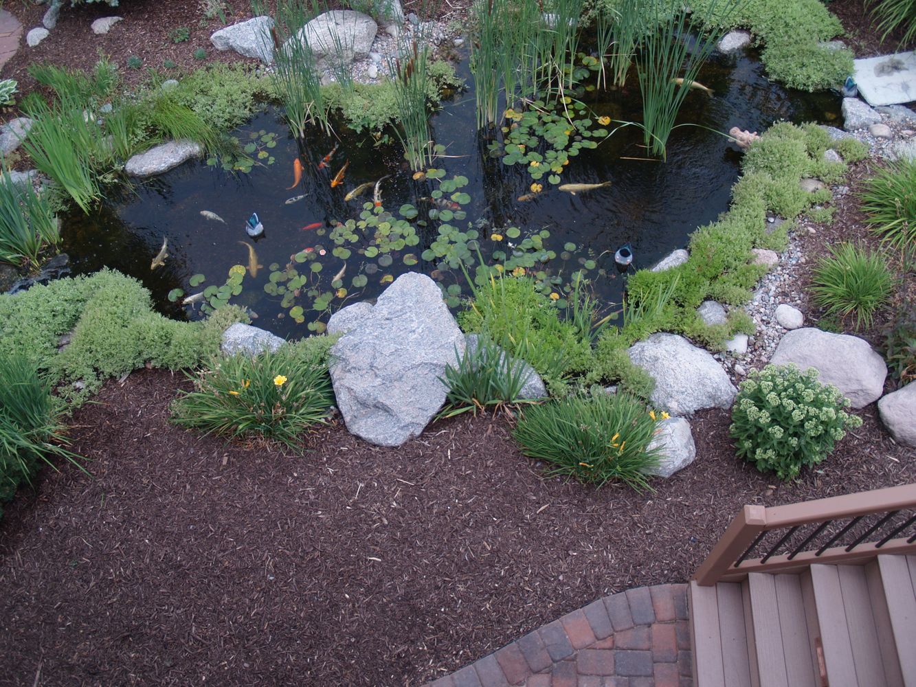 Bear Claw job pics 379.jpg