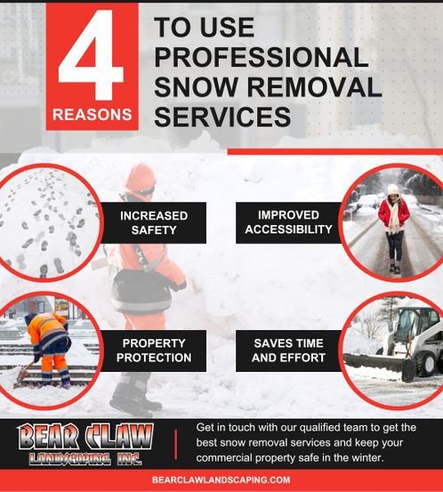 four reasons to use professional snow removal services