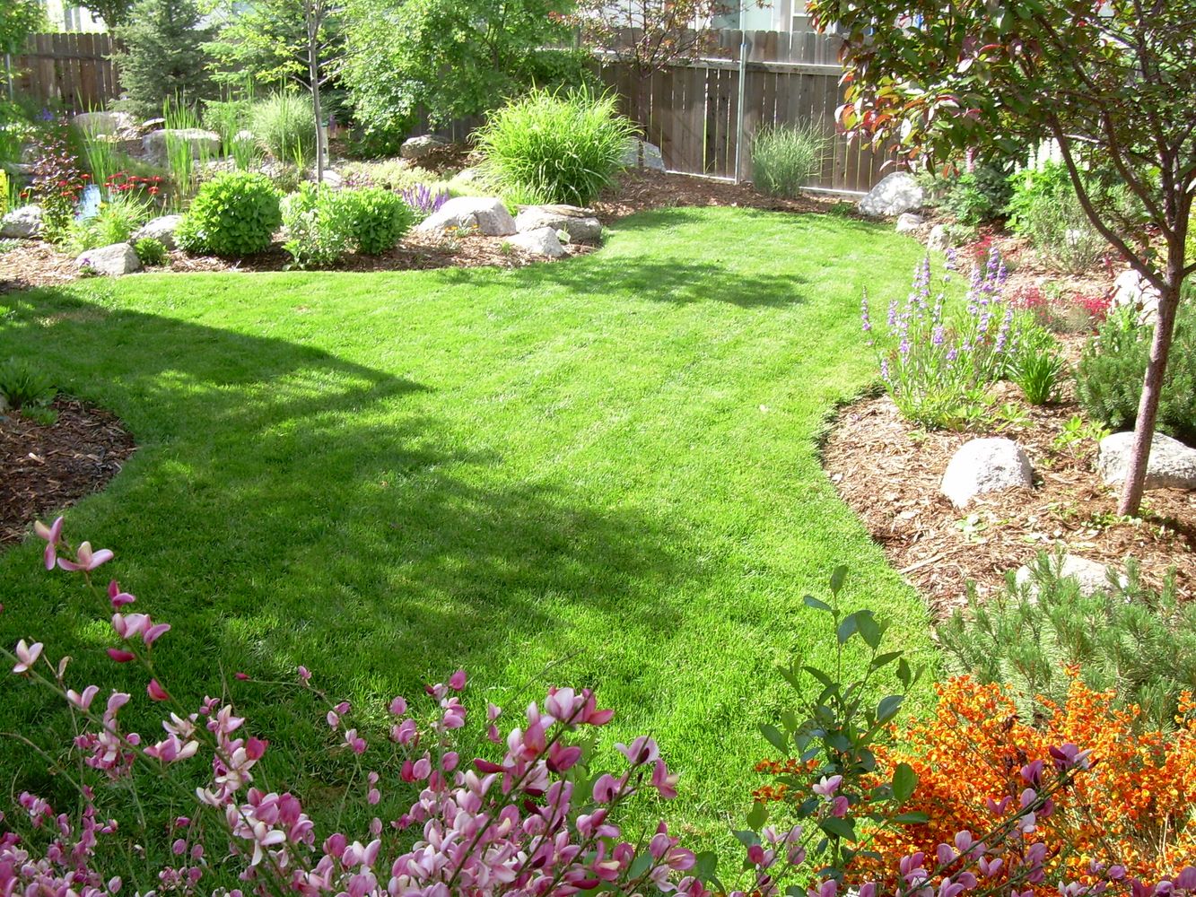 Bear Claw job pics 318.jpg