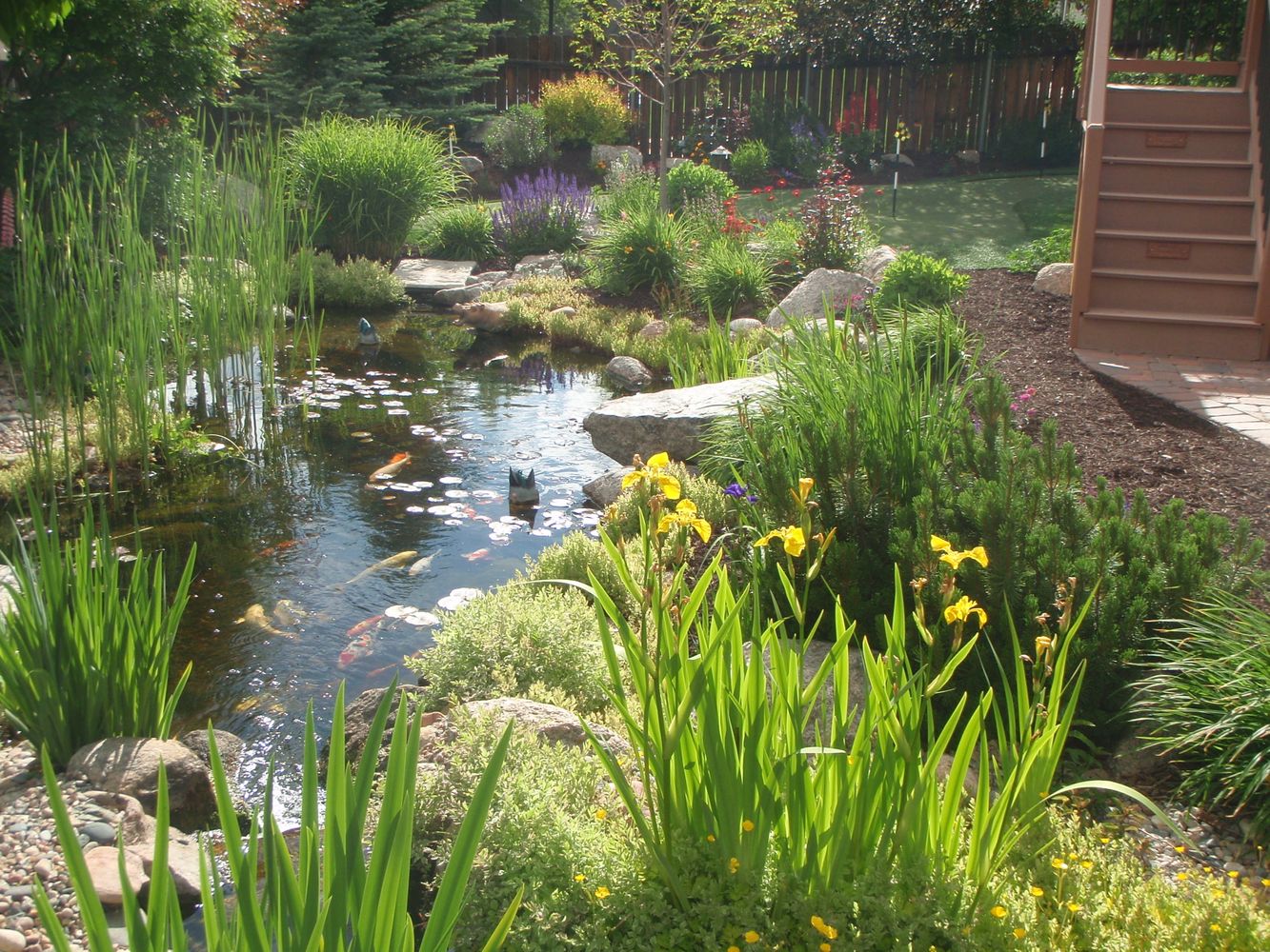 Bear Claw job pics 128.jpg