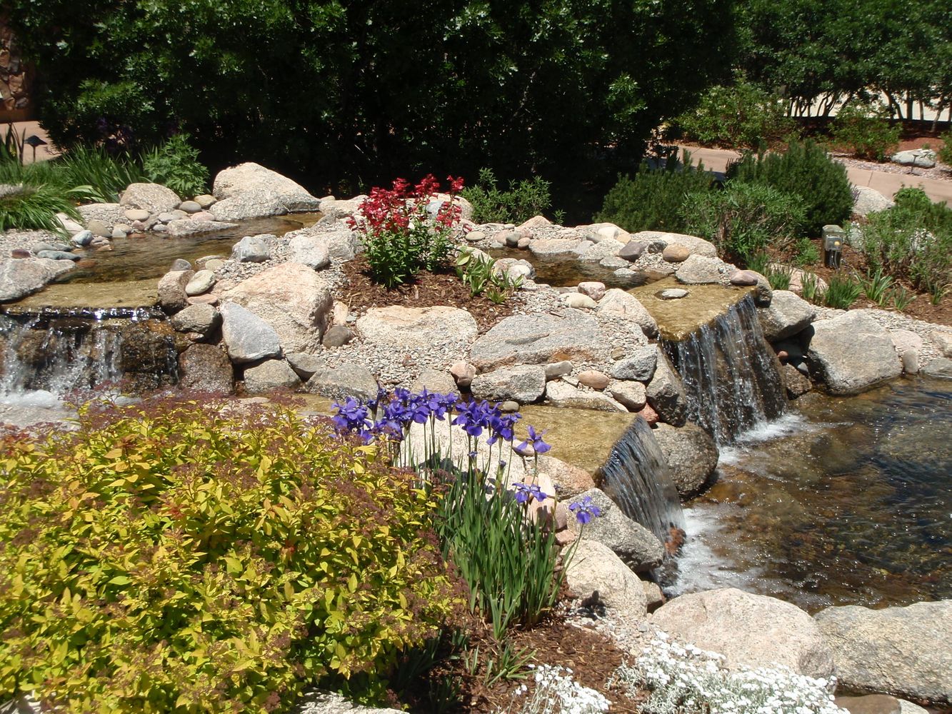 Bear Claw job pics 865.jpg