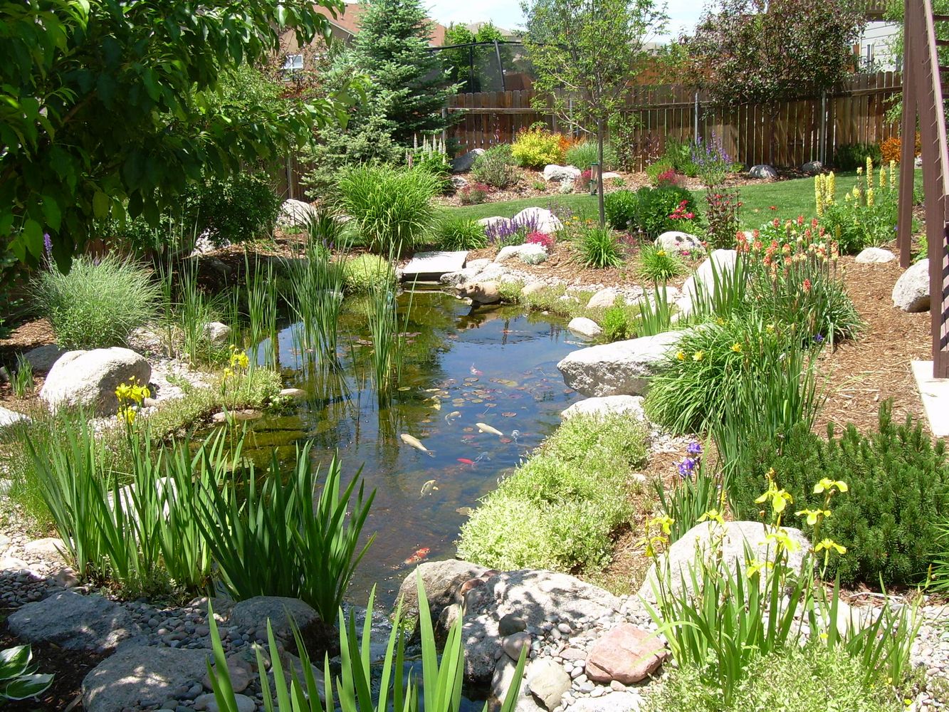 Bear Claw job pics 331.jpg