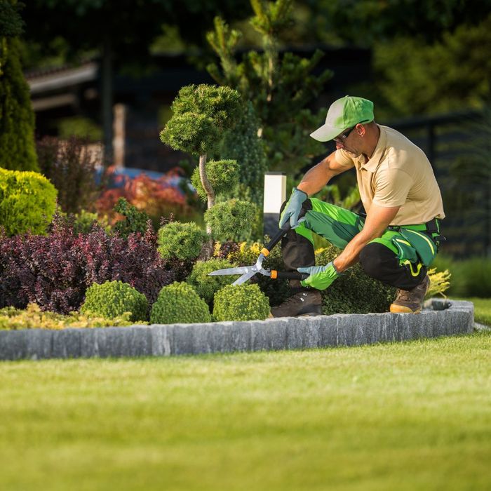 landscaping professional