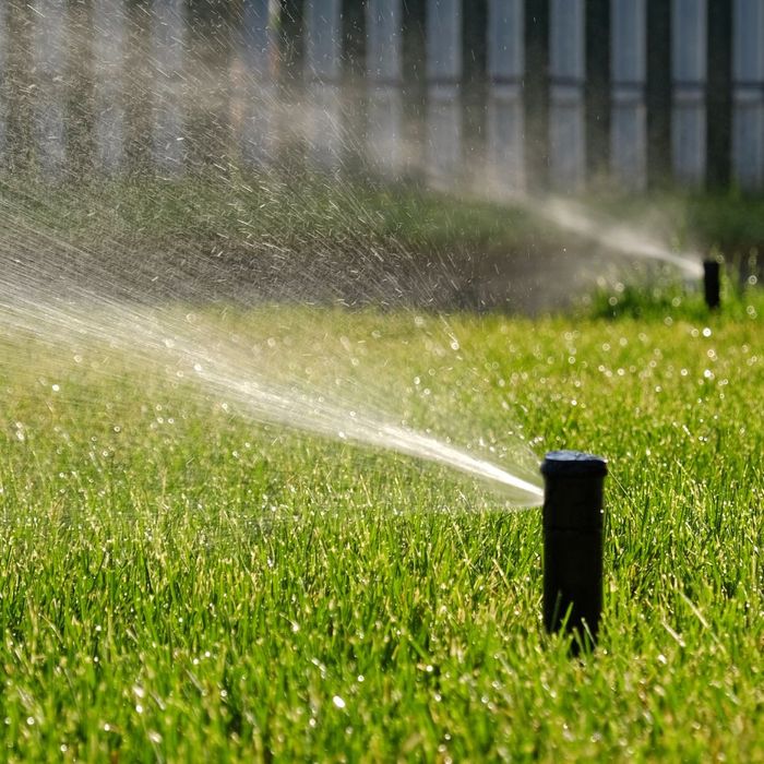 sprinklers going off on lawn