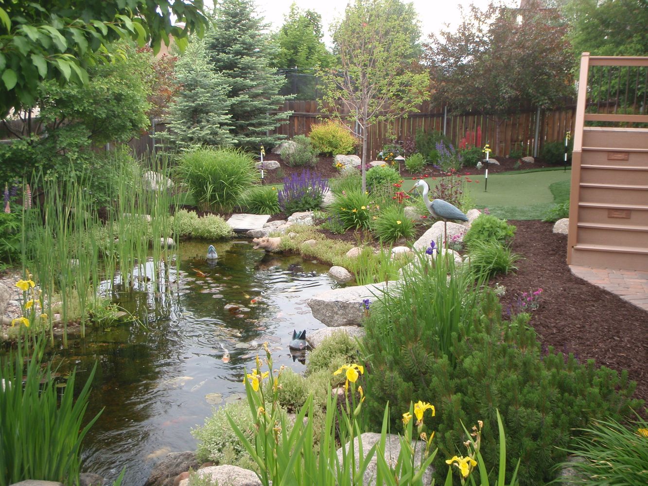 Bear Claw job pics 088.jpg