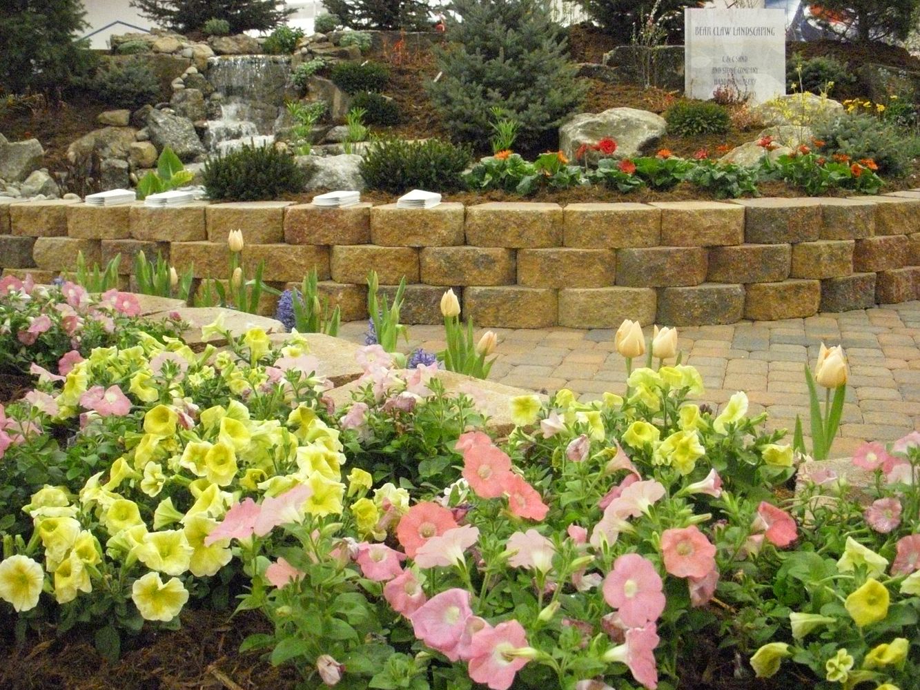 Bear Claw job pics 258.jpg