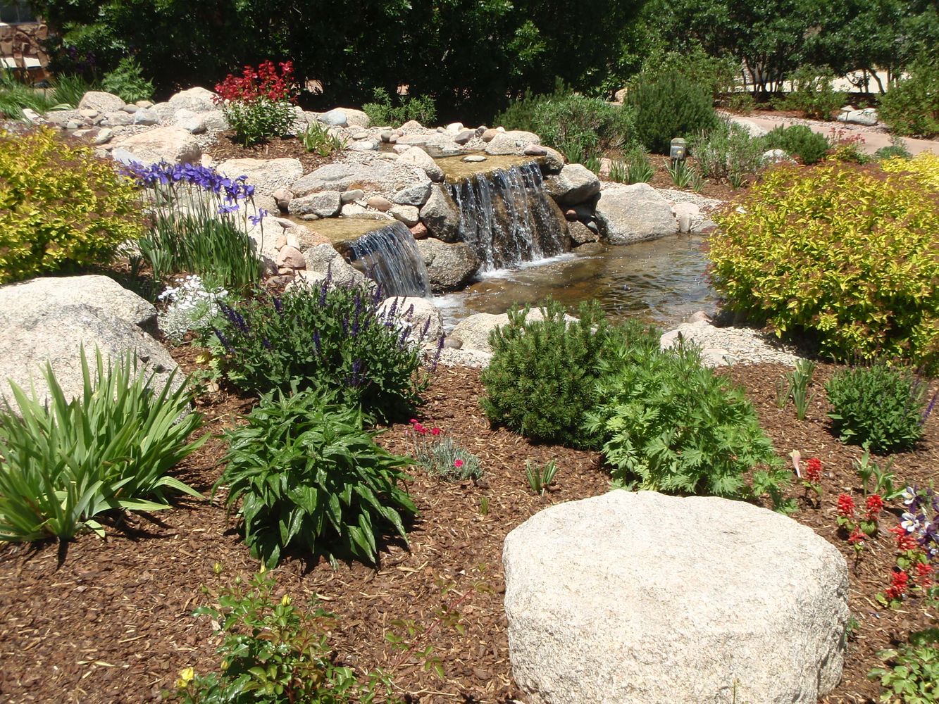 Bear Claw job pics 866.jpg