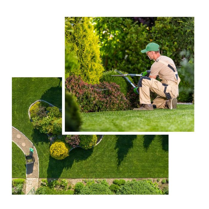 Landscaper trimming bush