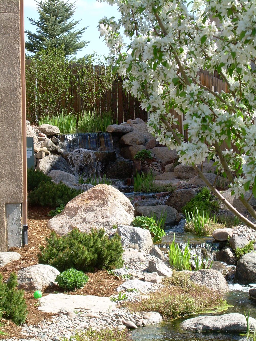 Bear Claw job pics 307.jpg