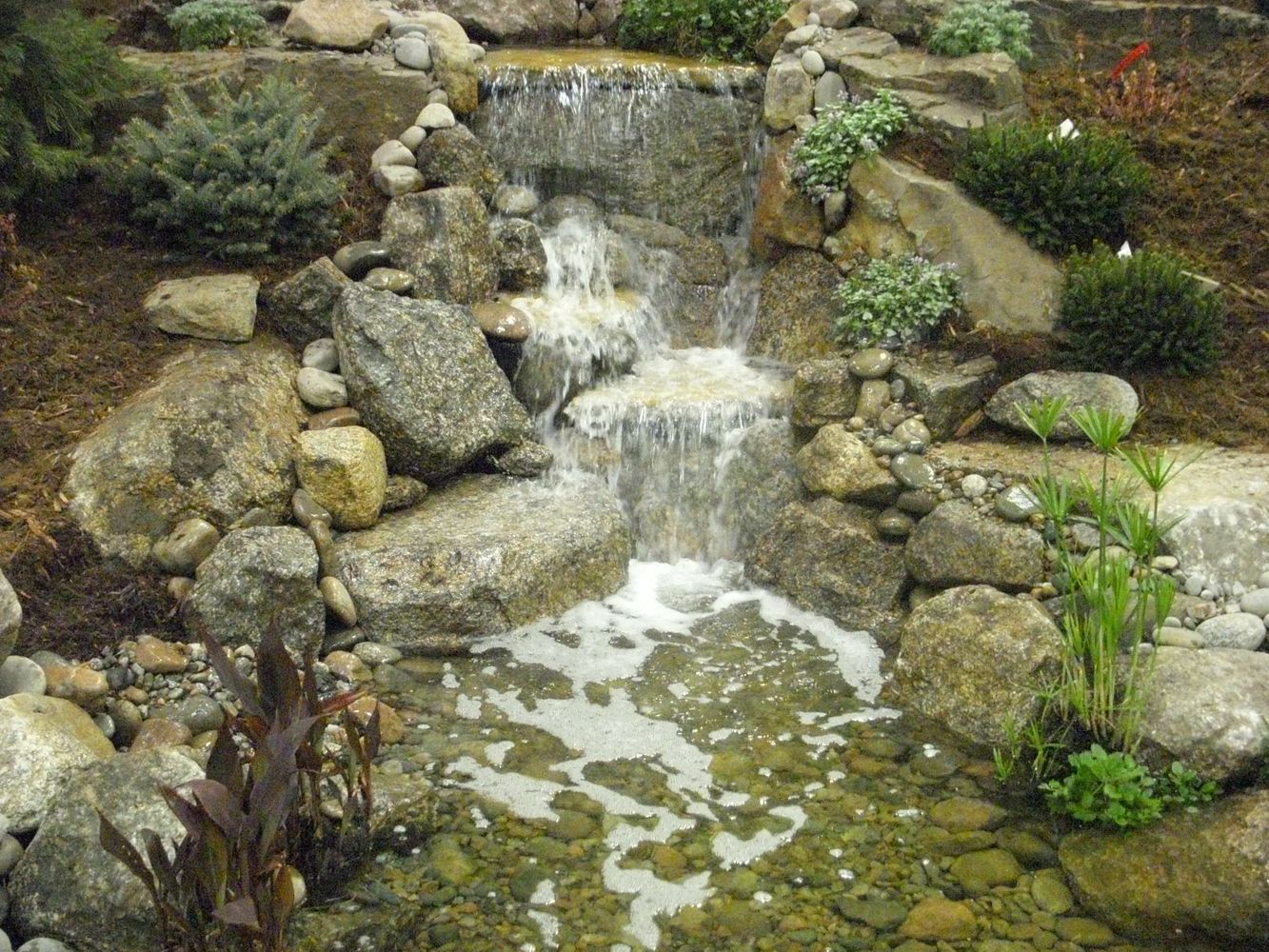 Bear Claw job pics 269.jpg