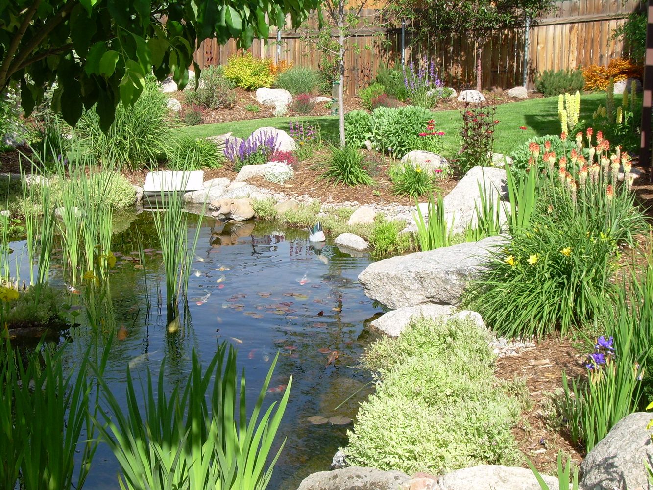 Bear Claw job pics 968.jpg