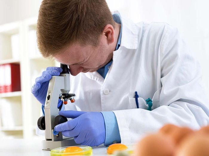 man testing eggs in lab