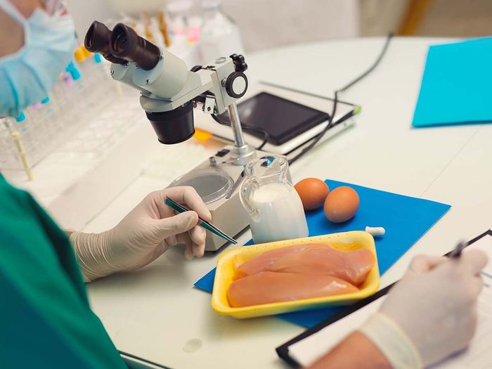 person testing chicken in lab