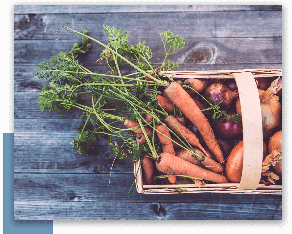 vegetables in a basket 