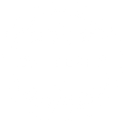 25 + Years of Experience
