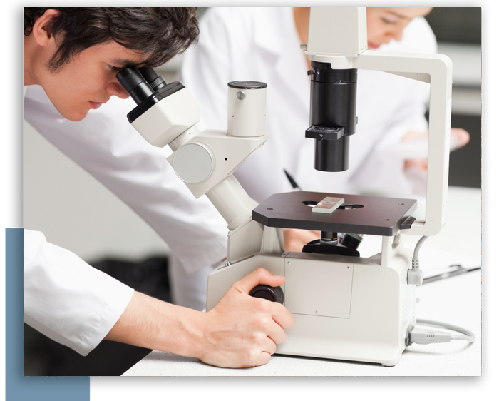 Scientist looking through a microscope