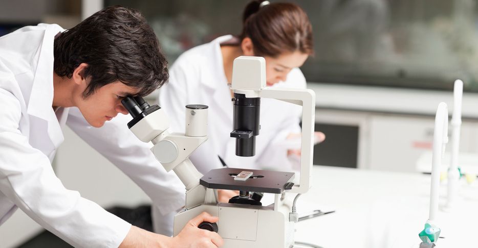Image of scientists in a lab
