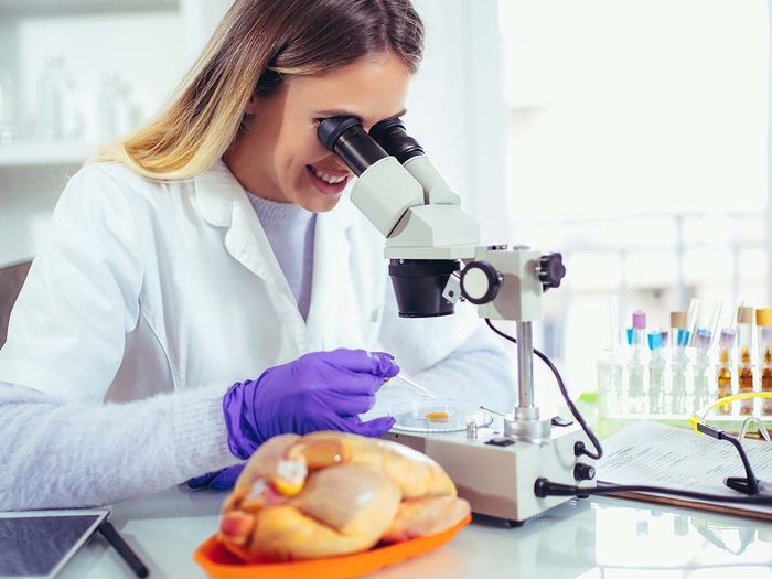 woman testing chicken in microscope