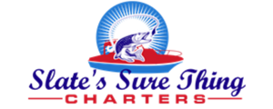 M328887 - Logo.png
