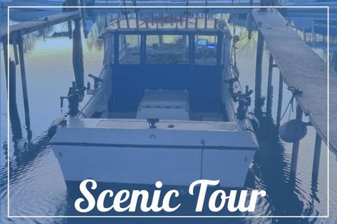 Tour Icon.jpg