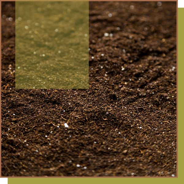 PageImage1-ReclaimSoilDetoxifier.png