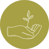 icon of a sprout in a hand