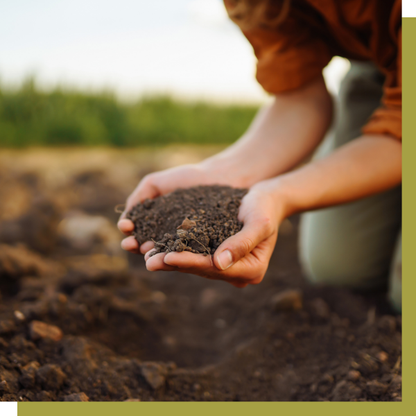 farmer holding soil