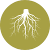 icon of roots