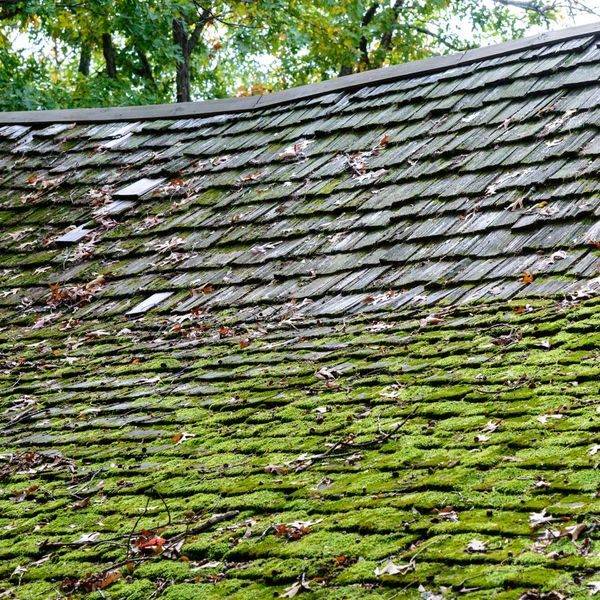 Sagging roof with moss on it