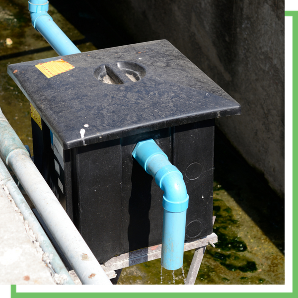 Functioning grease trap