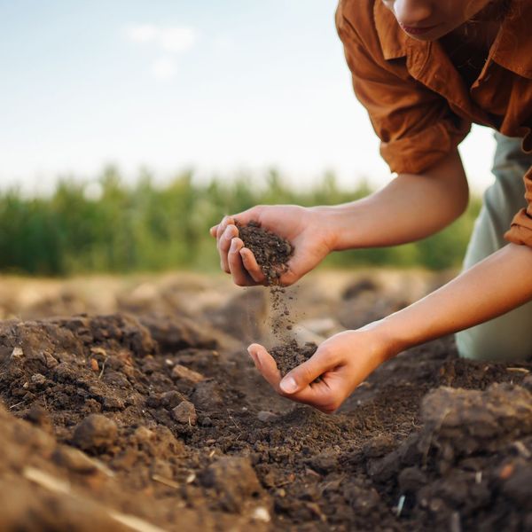 person checking soil