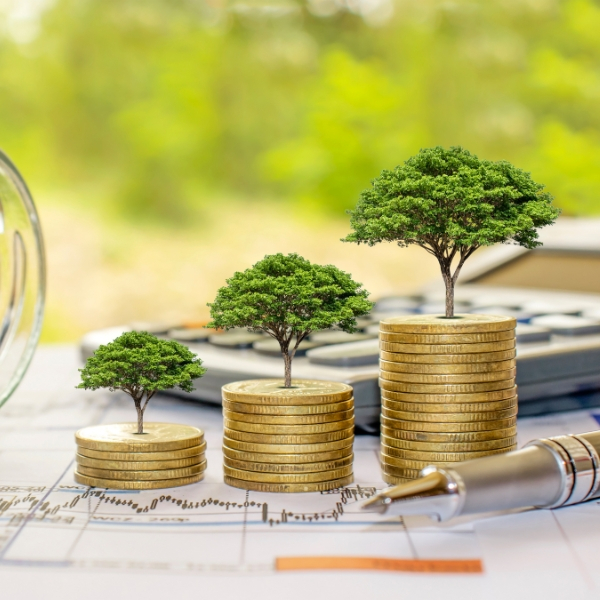 image of diverse investing