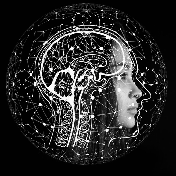 brain graphic brain graphic