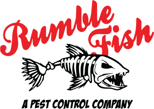 Rumble Fish Pest Control