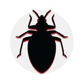 Bed Bugs icon