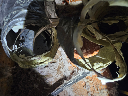 Flex duct damage .jpg