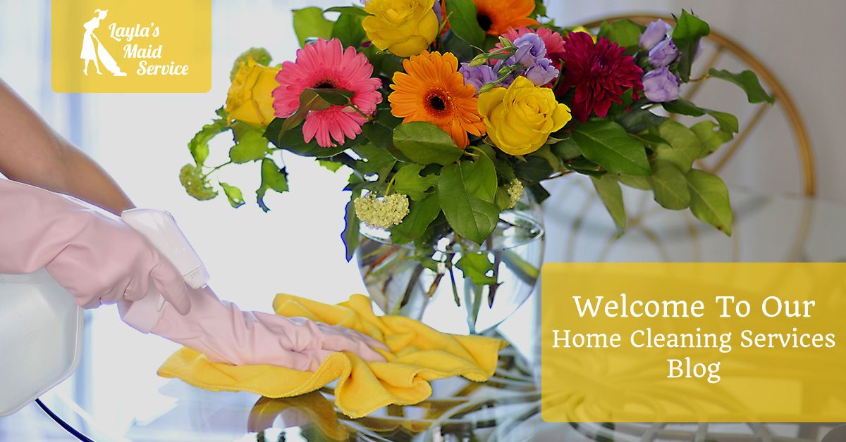 Welcome to Our Home Cleaning Services Blog